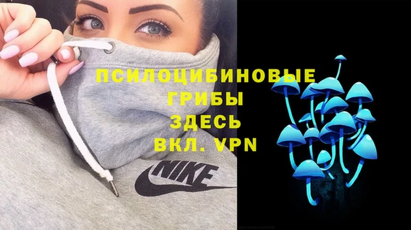 ГАЛЛЮЦИНОГЕННЫЕ ГРИБЫ Алексеевка