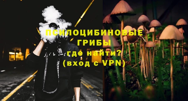 ГАЛЛЮЦИНОГЕННЫЕ ГРИБЫ Алексеевка