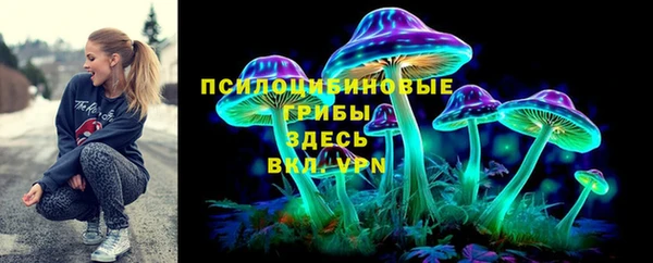 Альфа ПВП Алзамай