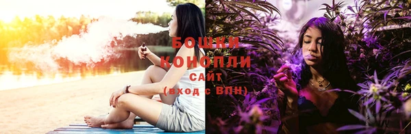 ГАЛЛЮЦИНОГЕННЫЕ ГРИБЫ Алексеевка