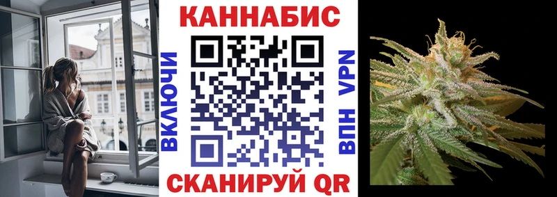 купить наркотики цена  Циолковский  Канабис VHQ 